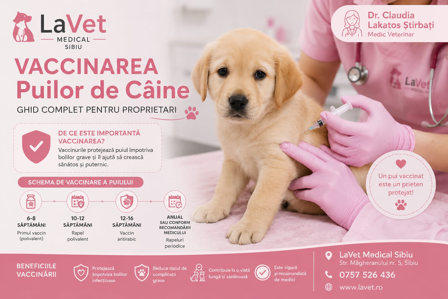 Câine la consultație preventivă la LaVet Medical Sibiu