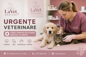 Urgențe veterinare la câini și pisici: când trebuie să mergi imediat la medicul veterinar