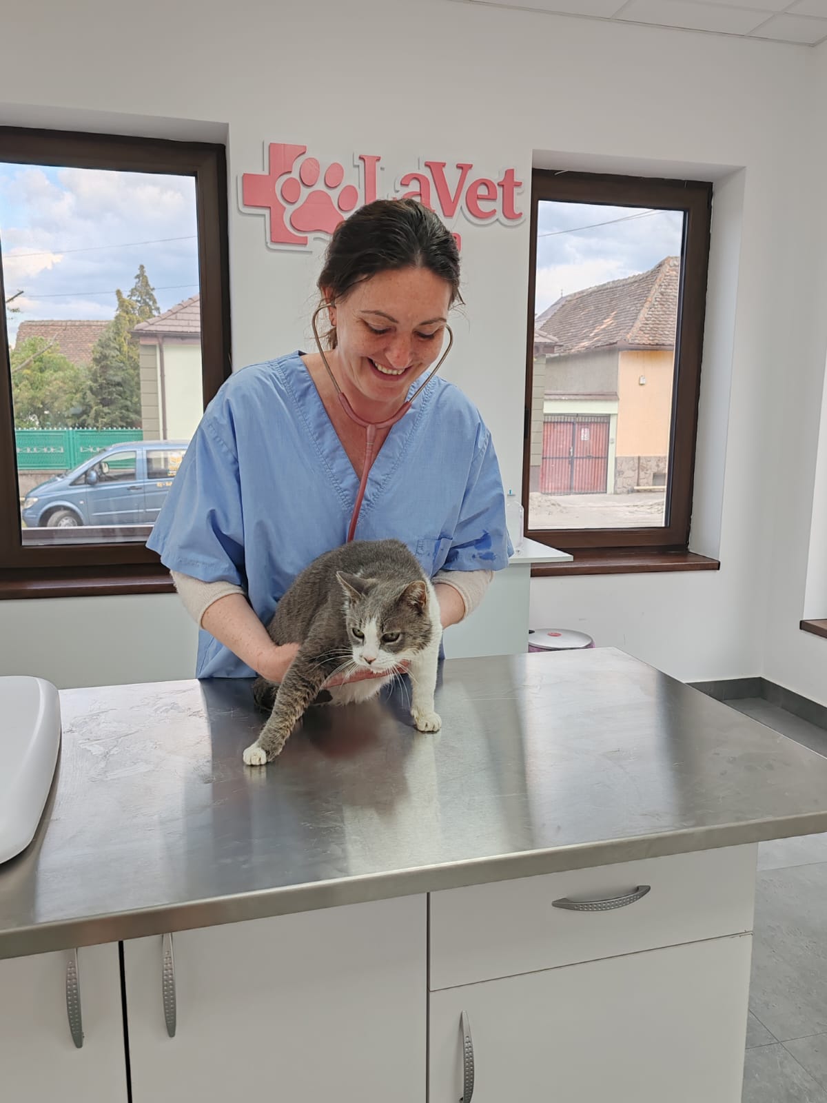 Dr. Claudia în cabinet cu o pisică — LaVet Medical Sibiu