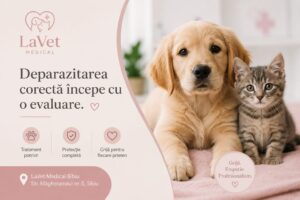 Ce trebuie să fac dacă găsesc o căpușă pe animal?