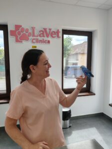 Servicii veterinare în Sibiu – LaVet Medical