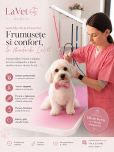 Toaletajul câinilor și pisicilor – ghid complet despre igienă, tuns, baie, îngrijirea blănii și când este recomandat un salon profesional